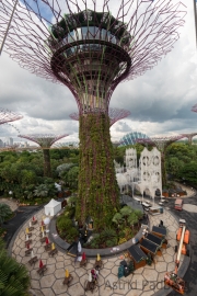 Supertrees