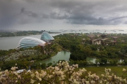 Gardens by the Bay