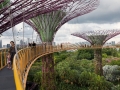 Skywalk, Supertrees