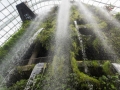 Cloud Forest