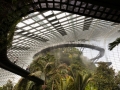 Cloud Forest