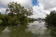 Landschaft, Sungei Buloh Wetland Reserve