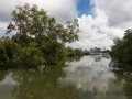 Landschaft, Sungei Buloh Wetland Reserve