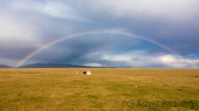 Nach dem Gewitter