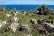 Stromboli, alter Friedhof