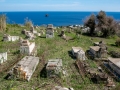 Stromboli, alter Friedhof