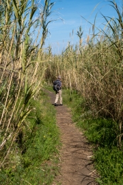 Stromboli, Wanderweg