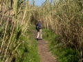 Stromboli, Wanderweg