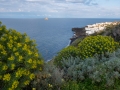 Stromboli mit Blick auf Strombolicchio