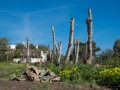 landschaft_20240321_A4275_web