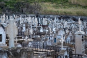 friedhof_20240322_A4547_web