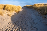 Dünen, Weststrand Hörnum