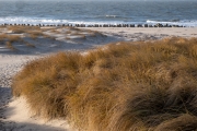 Tetrapoden, Weststrand Hörnum