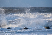 Hörnum - Weststrand bei Flut