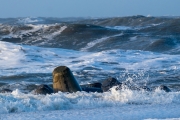 Hörnum - Weststrand bei Flut