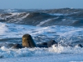 Hörnum - Weststrand bei Flut