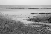 Landschaft zwischen Keitum und Kampen