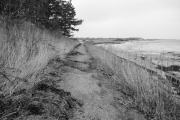 Landschaft zwischen Keitum und Kampen