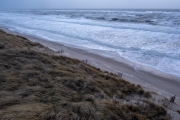 Strandlandschaft