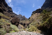 Wanderung durch die Masca-Schlucht