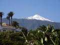 Puerto de la Cruz, Teide