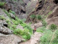 Wanderung durch die Masca-Schlucht