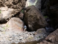 Wanderung durch die Masca-Schlucht