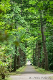 Terra Nostra Garden