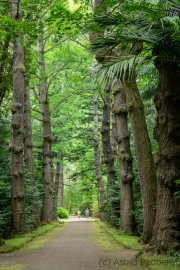 Terra Nostra Garden