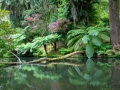 Terra Nostra Garden