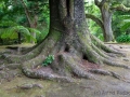 Terra Nostra Garden