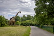 Brachiosaurus