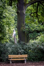 Quetzalcoatlus