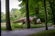 Parasaurolophus