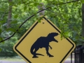 Dinoworld