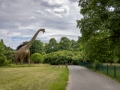Brachiosaurus