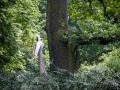 Quetzalcoatlus