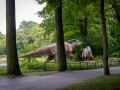 Parasaurolophus