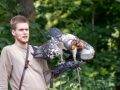 koenigsgeier_20240618_R4520-Verbessert-RR_web
