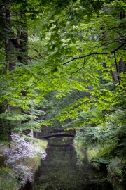 Auf dem Weg zum Schlosspark