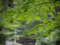 Auf dem Weg zum Schlosspark