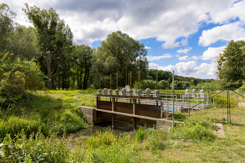 Wanderung um den Großen Teich, Torgau