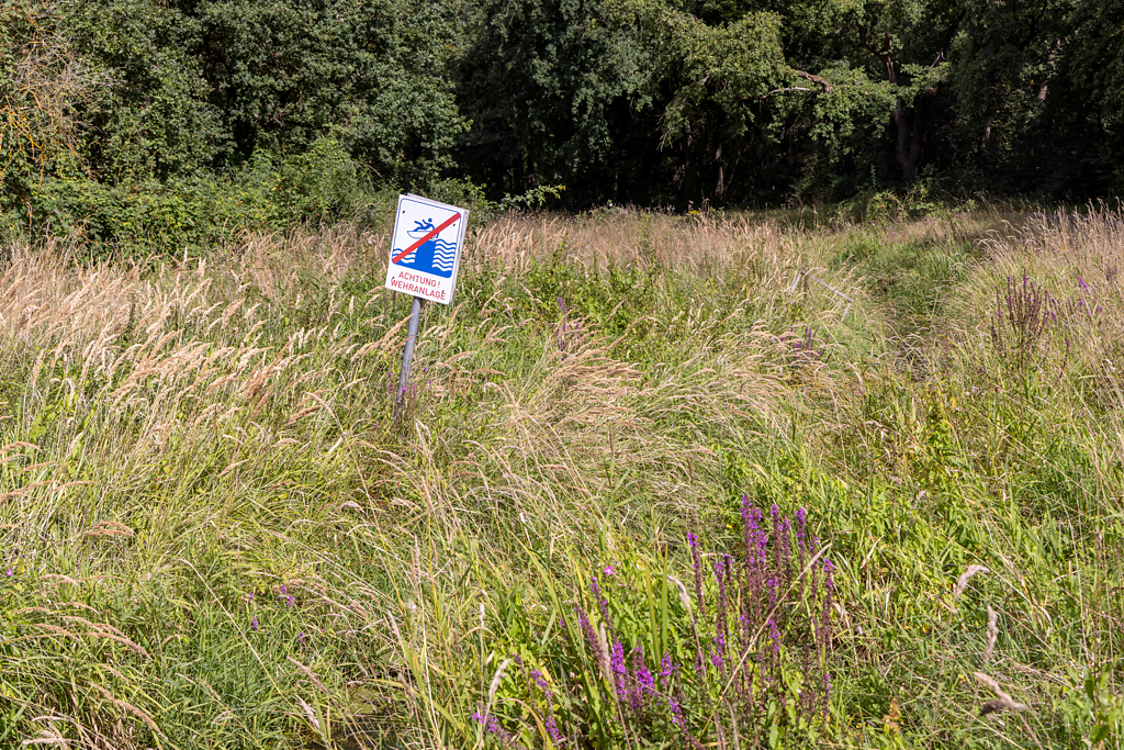 Wanderung um den Großen Teich, Torgau