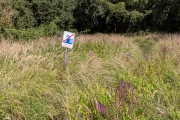 Wanderung um den Großen Teich, Torgau