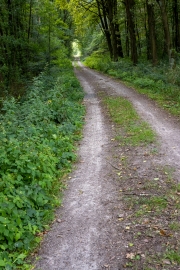 Wanderung um den Großen Teich, Torgau