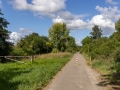 Wanderung um den Großen Teich, Torgau