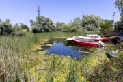 Bootsanleger, Eden Lodge, Crispan
