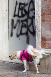 November in Venedig