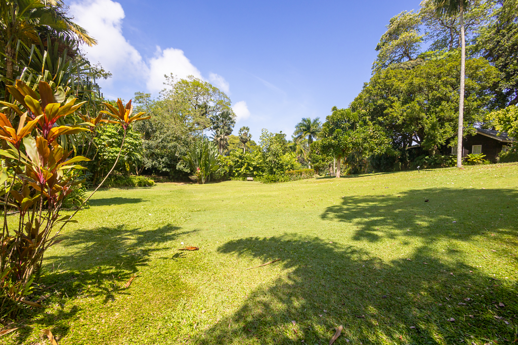 002_botanischer_garten_20240929_R0088_web