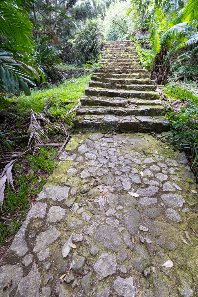003_botanischer_garten_20240929_R0011_web